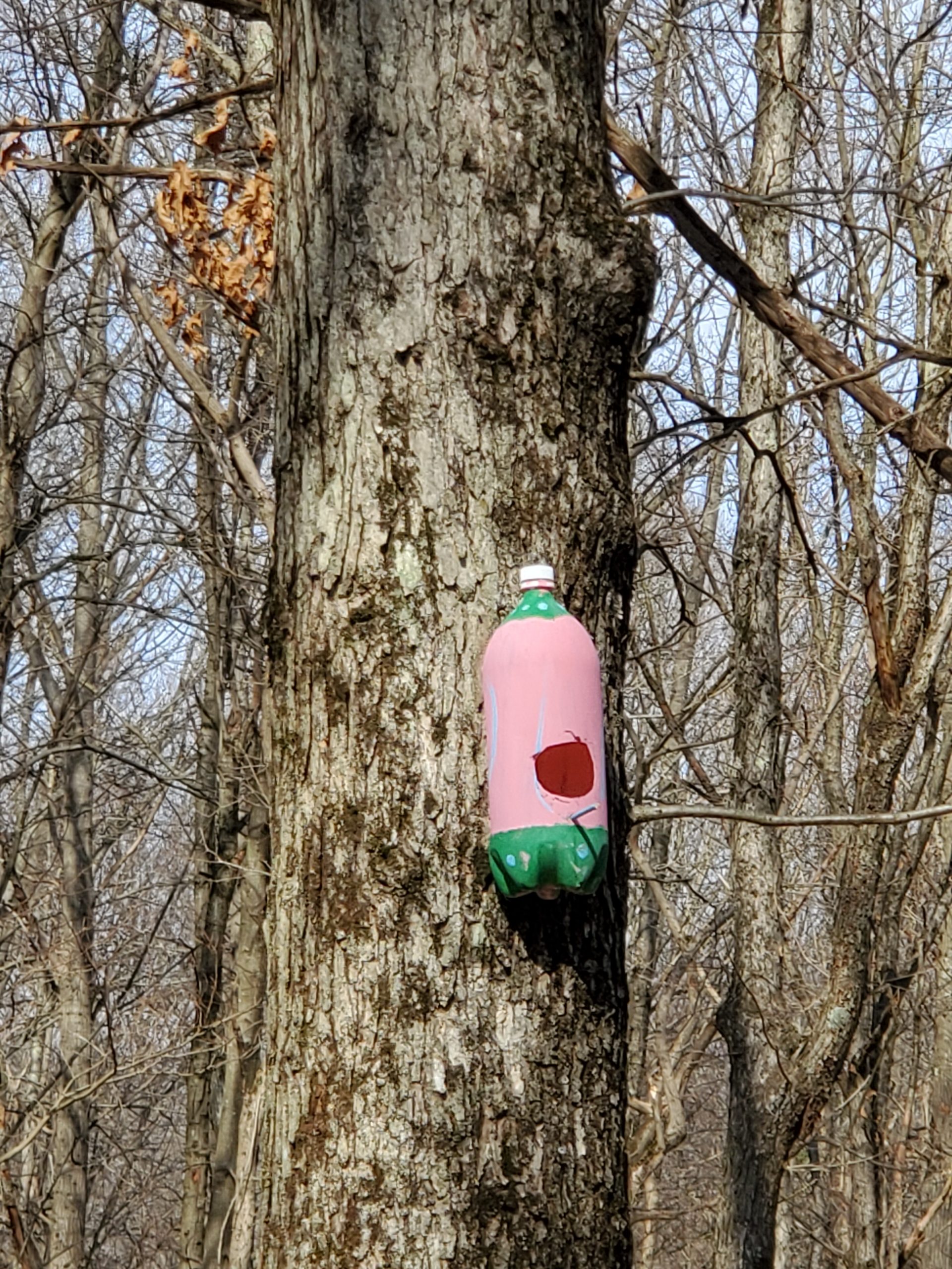 Upcycled Plastic Bottle DIY Birdhouse - Easy Budget Crafts