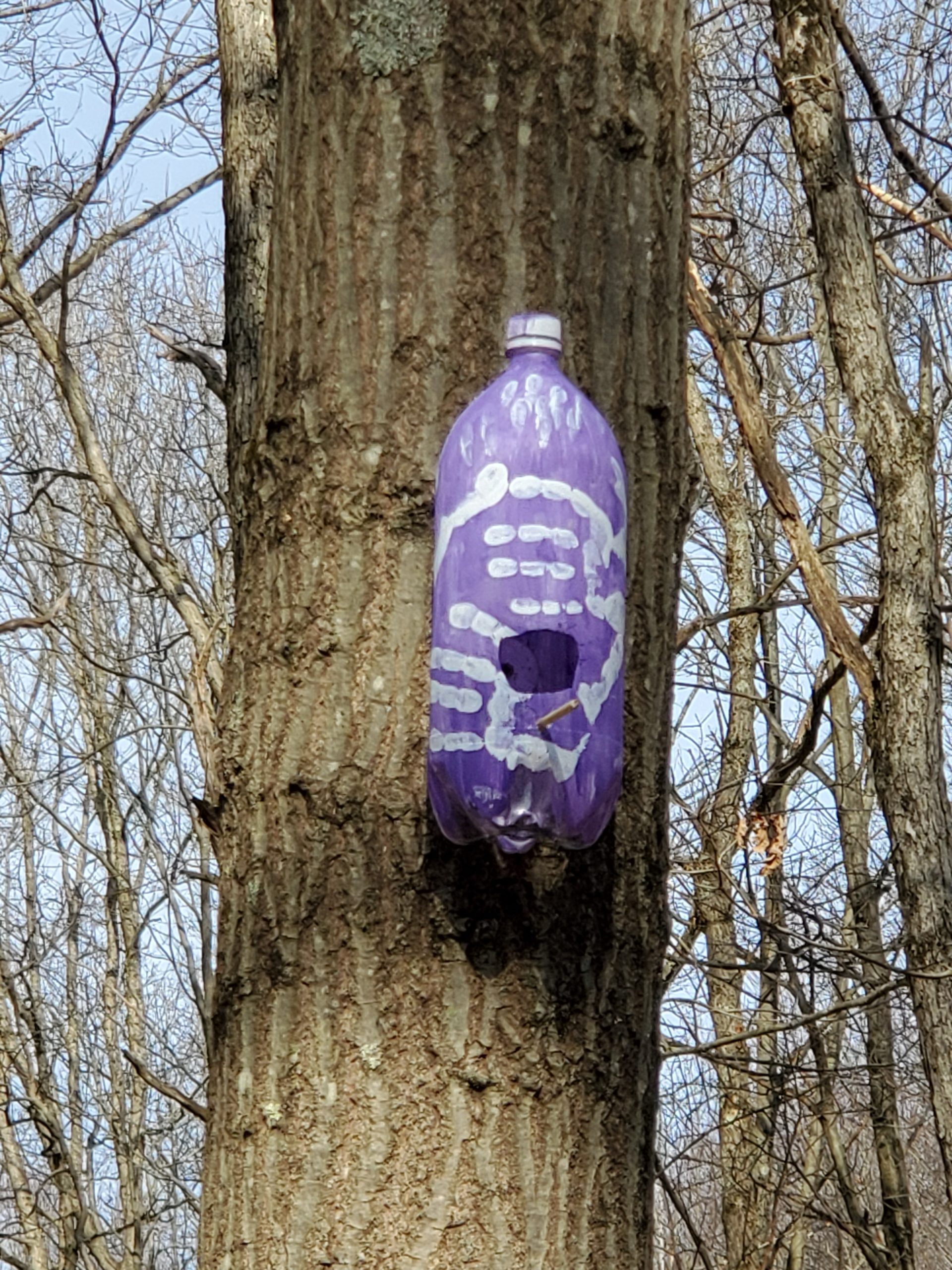 Upcycled Plastic Bottle DIY Birdhouse - Easy Budget Crafts